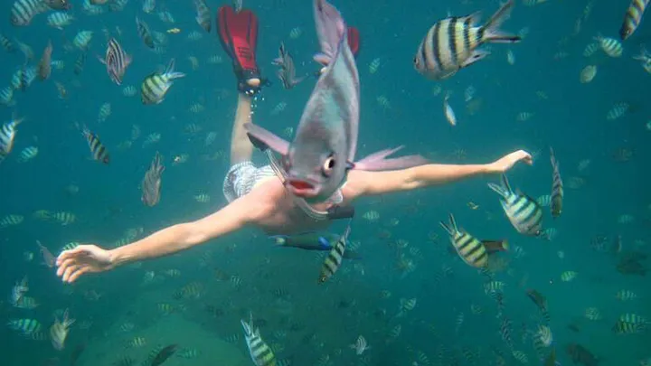 26 foto's die perfect getimed zijn (je moet echt goed kijken om ze te snappen)