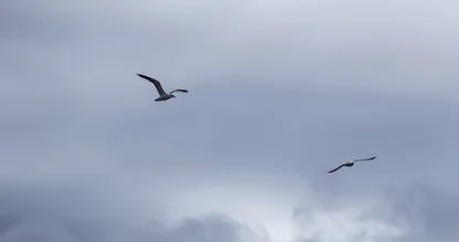 Opgelet: flinke wolk Saharazand op komst, hoogtepunt op woensdag