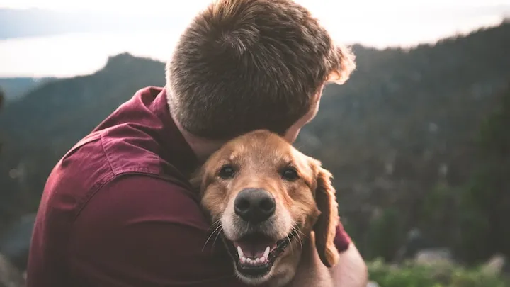 Beste vriend van de mens: 34 procent van de mensen ziet huisdier als ‘favoriete kind’