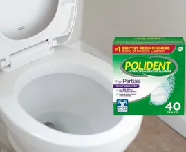 Getta una pastiglia per la pulizia della dentiera nella tazza del gabinetto e questo è quello che succede