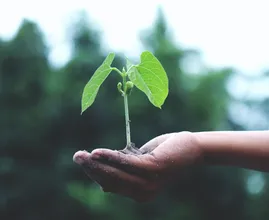 Klimaatverandering: deze dagelijkse dingen maken al een verschil