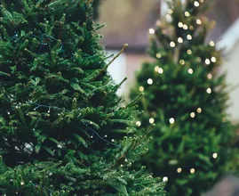 De prijs van kunstkerstbomen is dit jaar flink gestegen