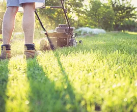 Goed om te weten: mag je gras al maaien in februari?