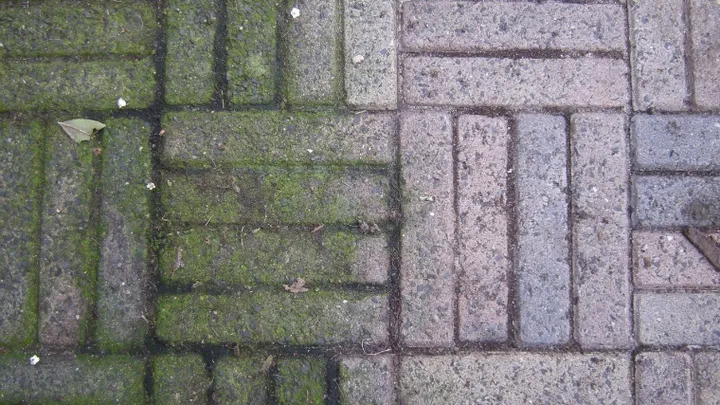 ¡Deshazte de las espantosas manchas verdes de las baldosas! Es tan fácil que no lo creerás. ¡Debes probar esto!