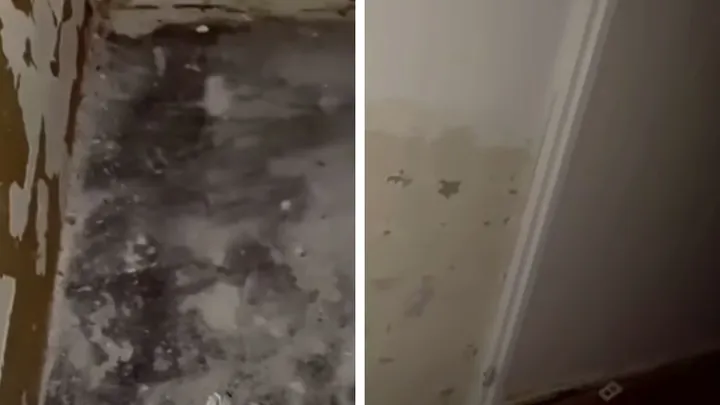 Toen deze vrouw haar badkamerspiegel van de wand haalde, onthulde ze een duister geheim