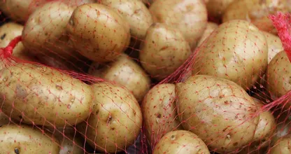 Feit of fabel: aardappels met groene plekken zijn giftig