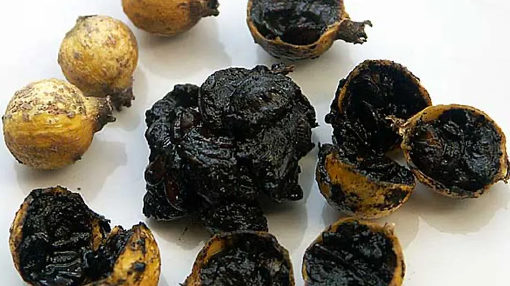 Take A Look At These Strange Fruits From Around The World