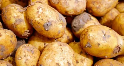 Ideaal: dankzij dít fruit lopen je aardappelen minder snel uit!