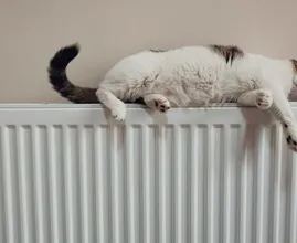 Dit is wat we gemiddeld voor gas en energie moeten betalen