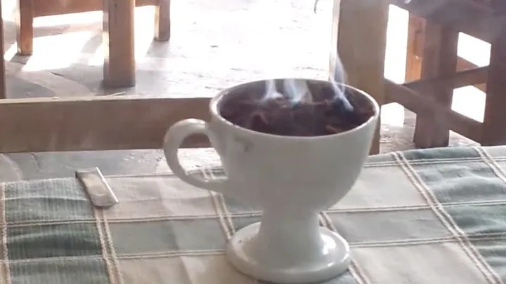 Oh no, wasps! No need to panic because with this trick they'll definitely stay away!