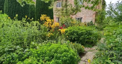 Helemaal zat van muggen in de tuin? Zet DEZE planten dan buiten, het helpt echt!