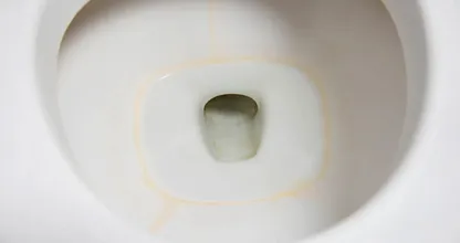 Waarom bleek niet helpt tegen de bruine rand in je toilet, en wat wél werkt
