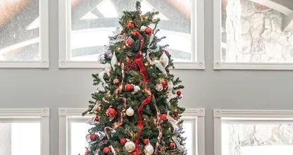 Aha! Zoveel lampjes en kerstballen passen er in een kerstboom
