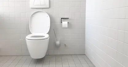 トイレにニンニク1片置いておくと良いらしい！？