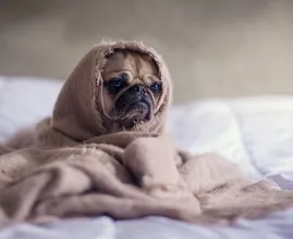 Blue Monday: zó kom jij de meest deprimerende dag van het jaar door