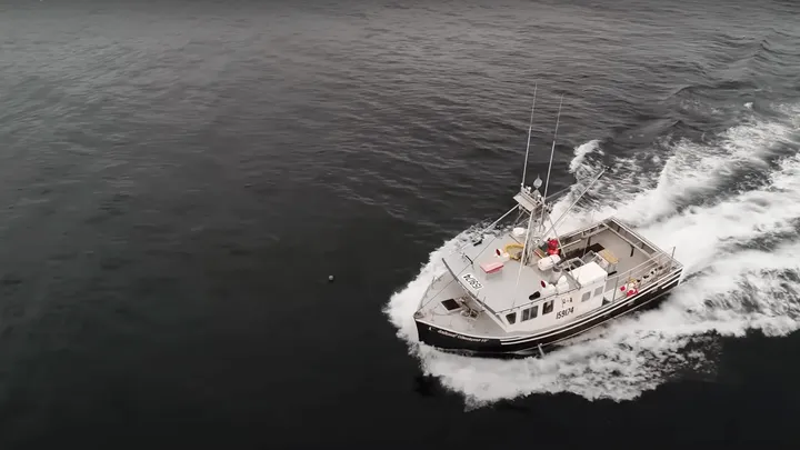 Ces marins ont trouvé un requin géant - Vous ne croirez pas ce qu’ils ont trouvé à l’intérieur !