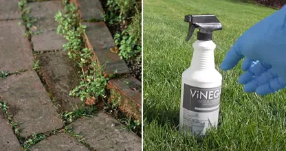 Struggle With Weeds? Fire Away With This DIY Weed Remover!