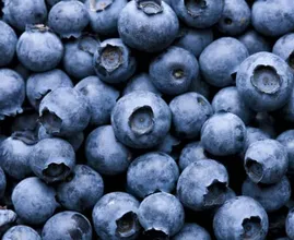 Das passiert, wenn du jede Woche Blaubeeren isst. Heftig!