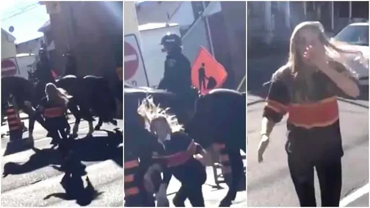 VIDEO: Deze vrouw slaat een politiepaard en krijgt direct haar verdiende loon. Ongelooflijk wat een reactie!