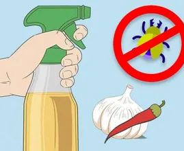 Zrób Swój Własny, Wolny od Substancji Chemicznych Spray na Robale z Tych Zwykłych Składników