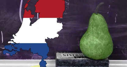 Goed in spelling? Dan kom je waarschijnlijk uit deze provincie!