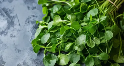 Dit over het hoofd geziene blad verslaat spinazie, broccoli en boerenkool als gezondste groente