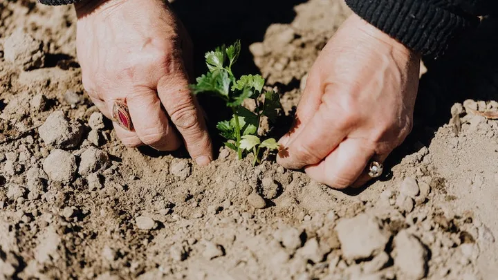 Deze 21 tuinhacks besparen je veel tijd en geld