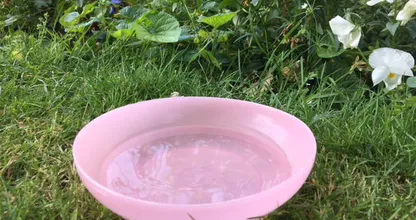 Bitte stelle auch du eine Schüssel mit Wasser in deinen Garten
