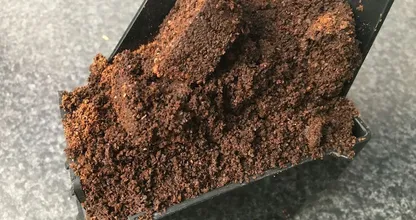 This is why you should use coffee grounds in your garden