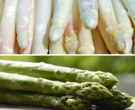 Grüner vs. weißer Spargel: diese 5 Unterschiede kennen nur die wenigsten