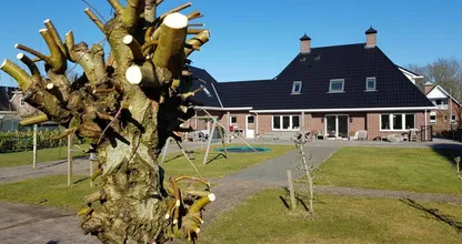 Met deze tips krijg je jouw tuin heel simpel weer superstrak en netjes!