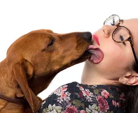 VIDEO: Erlaubst du deinem Hund dich im Gesicht abzulecken? DESWEGEN solltest du das ab jetzt verbieten!