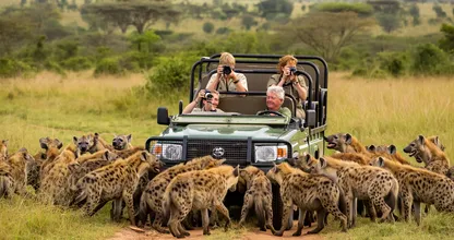 Safari Jeep Surrounded by Hyenas – But What the Driver Does Next Stuns Them All!