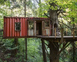 You think it's just a regular container in a tree, but wait until you see the inside!