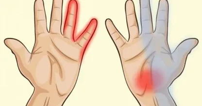 自分の手をじっくり見たことはありますか？健康を占うことができます