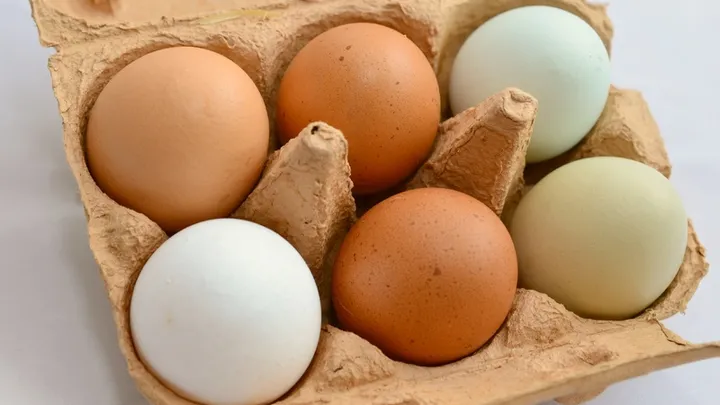 Got a vitamin B12 deficiency? Try eating these foods more often