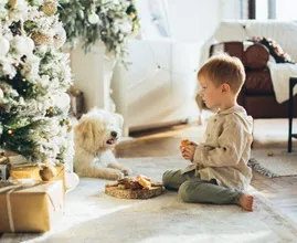 Pas op! Deze lekkere etenswaren zijn heel gevaarlijk voor je hond