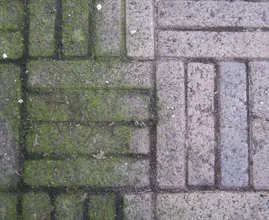 Enlever les mauvaises herbes ? Avec cette astuce, cela ne prendra plus longtemps ! Super pratique !