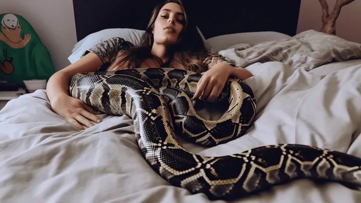 Frau erlaubte Baby, jede Nacht mit ihrem Haustier Python zu schlafen, als der Tierarzt herausfand, dass er paled.