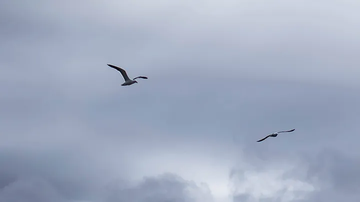 Opgelet: flinke wolk Saharazand op komst, hoogtepunt op woensdag