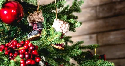 Met deze tips is jouw kerstboom ook met kerst nog prachtig!
