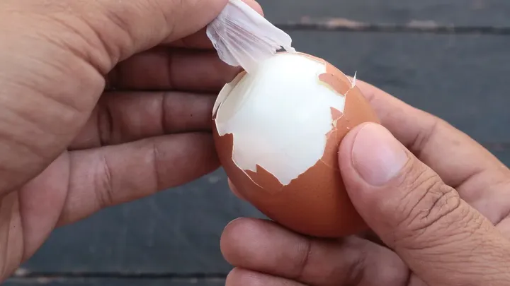 This food scientist explains why fresh eggs are harder to peel — and the 10-day rule that helps