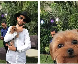 As mais hilárias interpretações errôneas de solicitações de edição de fotos