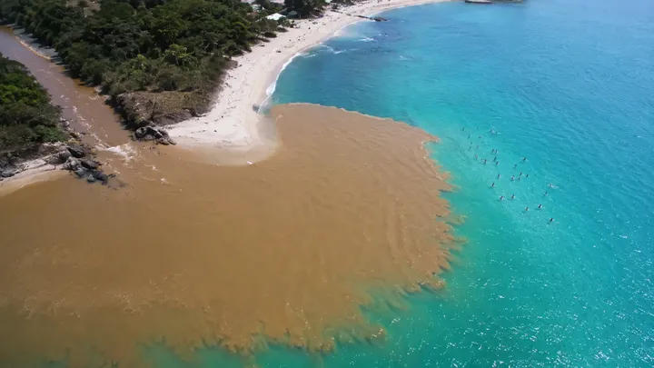 Si ves olas cuadradas en el mar, sal del agua inmediatamente