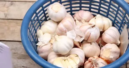 Du brauchst nur eine Papiertüte und einen Locher. So bleibt dein Knoblauch viel länger würzig