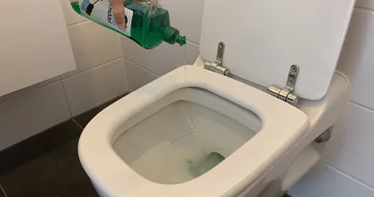 This is the brilliant reason why you should pour dish soap in your toilet!