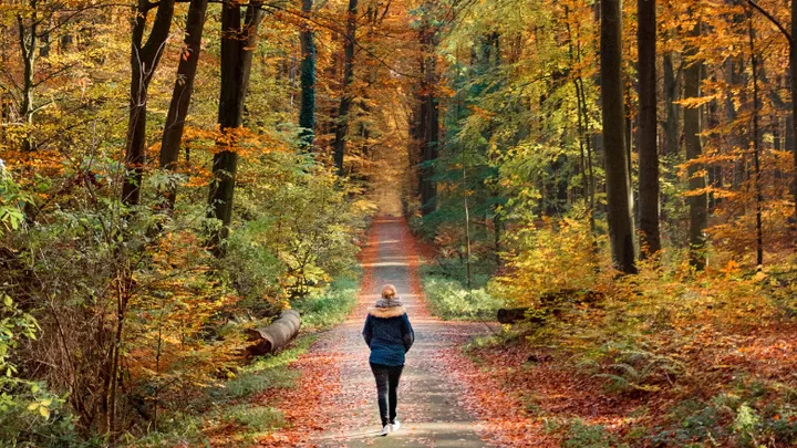 Surprising: walking backwards is good for your health