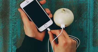 Mit einer Zwiebel das Handy aufladen - es funktioniert wirklich. So geht's!