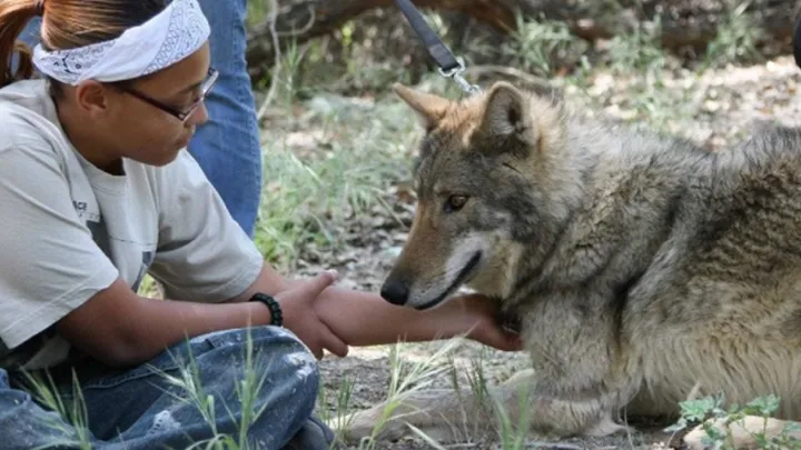 Man takes cute “puppy” home with him, which turns out to be a dangerous mistake