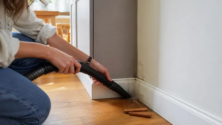 Esta especia común de cocina es el secreto para mantener a las arañas alejadas de su hogar